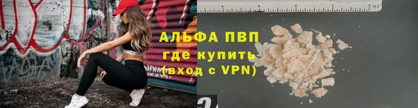 сатива Дмитриев