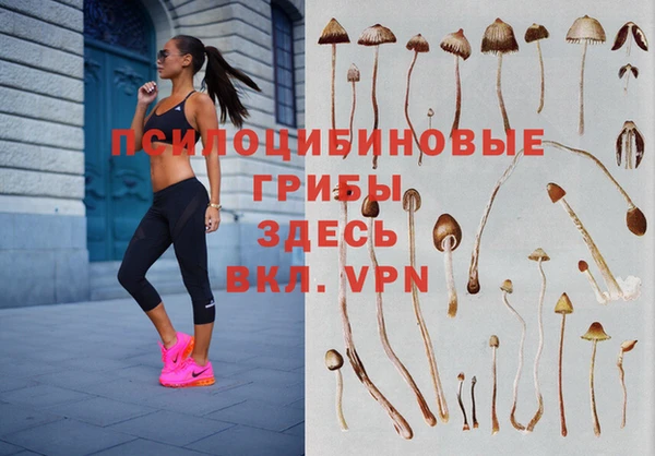 экстази Дмитров