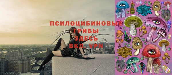 кокс Ельня