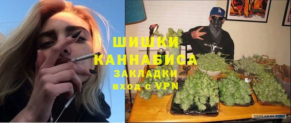 сатива Дмитриев