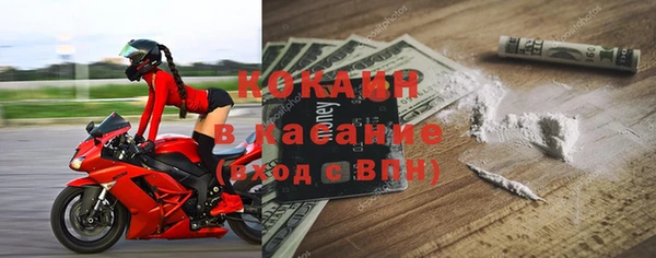сатива Дмитриев