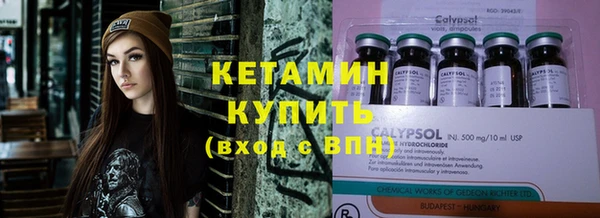 сатива Дмитриев